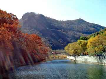 澳彩资料免费长期公开，泛目录大神